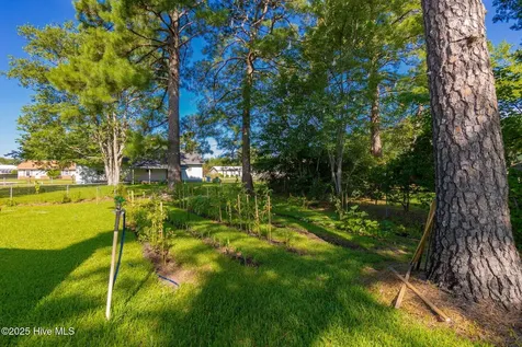114 Wolfpack Court Havelock NC 28532
