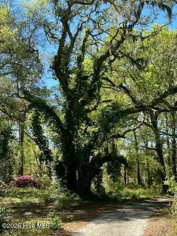 1633 Gause Landing Road SW Ocean Isle Beach NC 28469