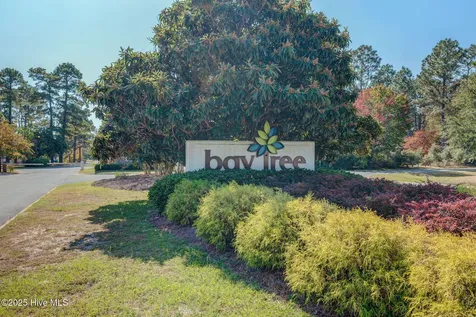 753 S Horsepen Drive Harrells NC 28444