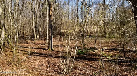 358 Parker Road Conway NC 27820