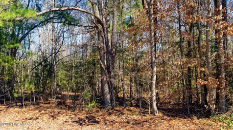 358 Parker Road Conway NC 27820