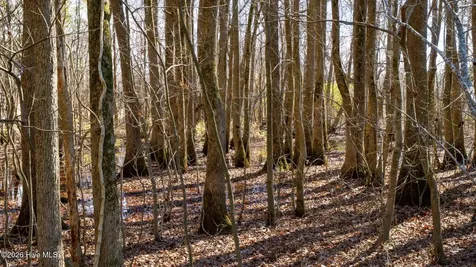 358 Parker Road Conway NC 27820