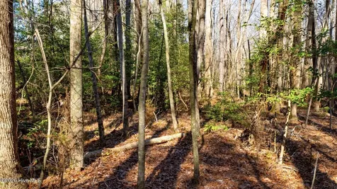358 Parker Road Conway NC 27820