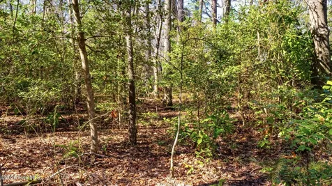 358 Parker Road Conway NC 27820