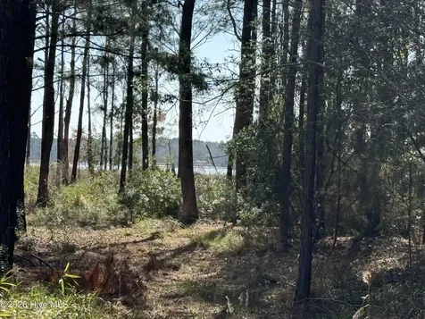 122 Wackena Way Beaufort NC 28516