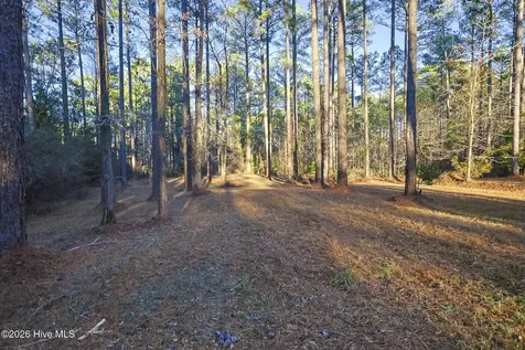 88 Cape Hatteras Point Oriental NC 28571