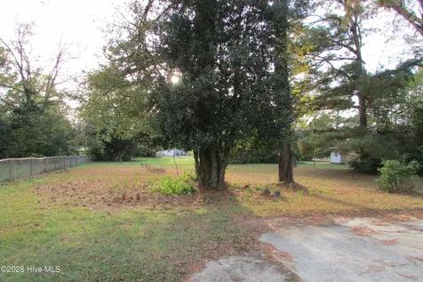 803 Mc Koy Street Clinton NC 28328