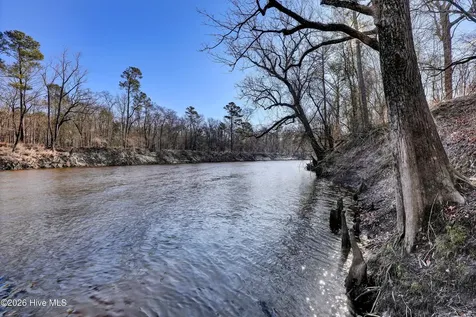 Lot 19 Ruddy Duck Lane Burgaw NC 28425