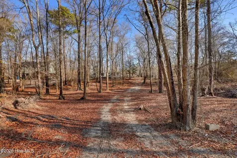 Lot 19 Ruddy Duck Lane Burgaw NC 28425