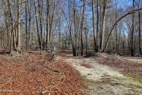 Lot 19 Ruddy Duck Lane Burgaw NC 28425