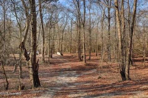 Lot 19 Ruddy Duck Lane Burgaw NC 28425