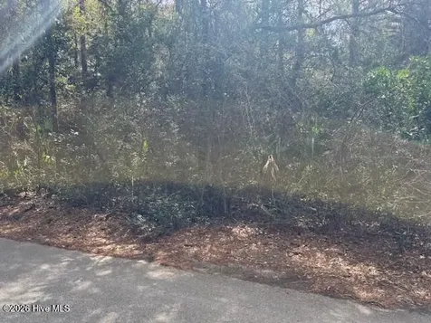 4 Dowitcher Trail Bald Head Island NC 28461