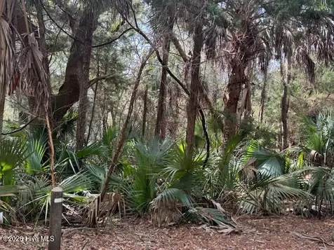 4 Dowitcher Trail Bald Head Island NC 28461