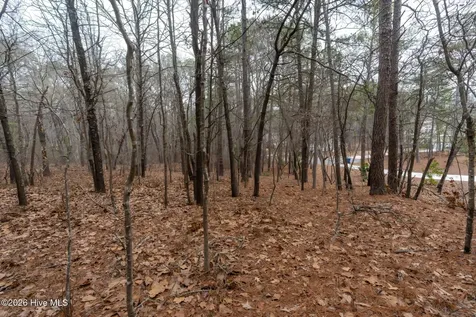 102 Ramsgate Court Seven Lakes NC 27376