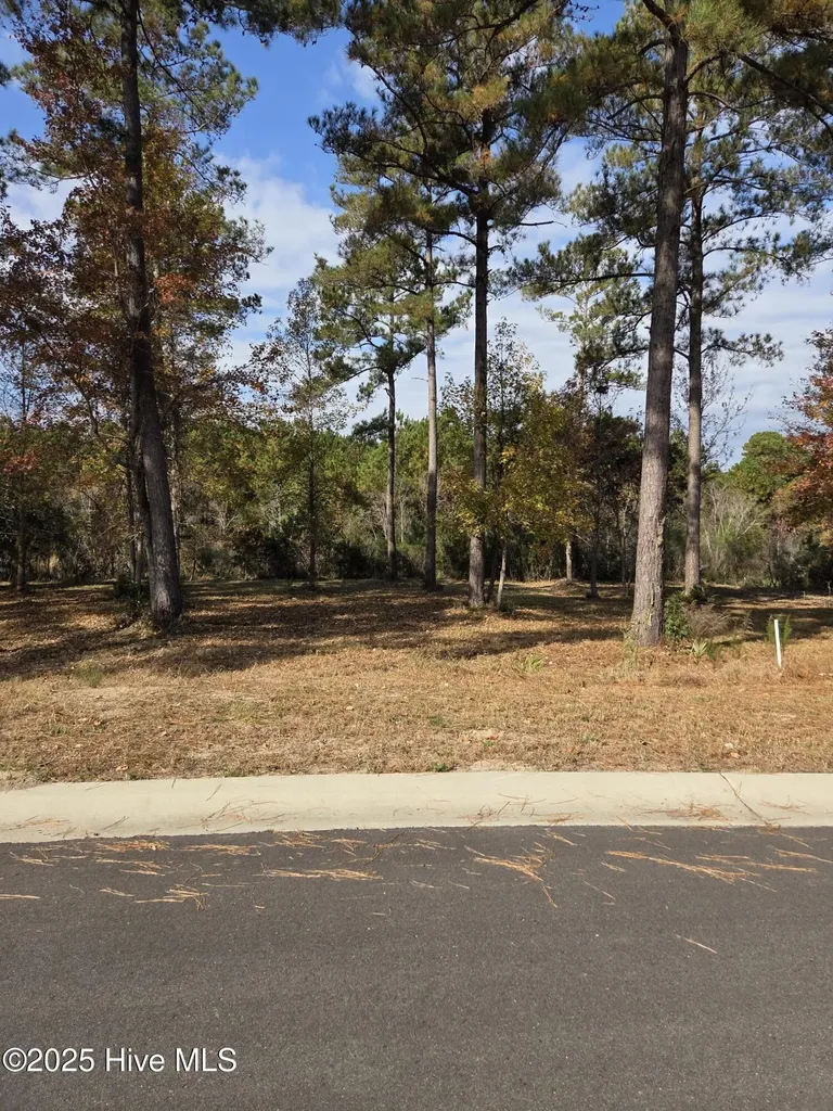 7475 Donegal Circle SW Sunset Beach NC 28468