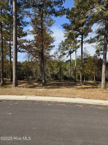 7475 Donegal Circle SW Sunset Beach NC 28468
