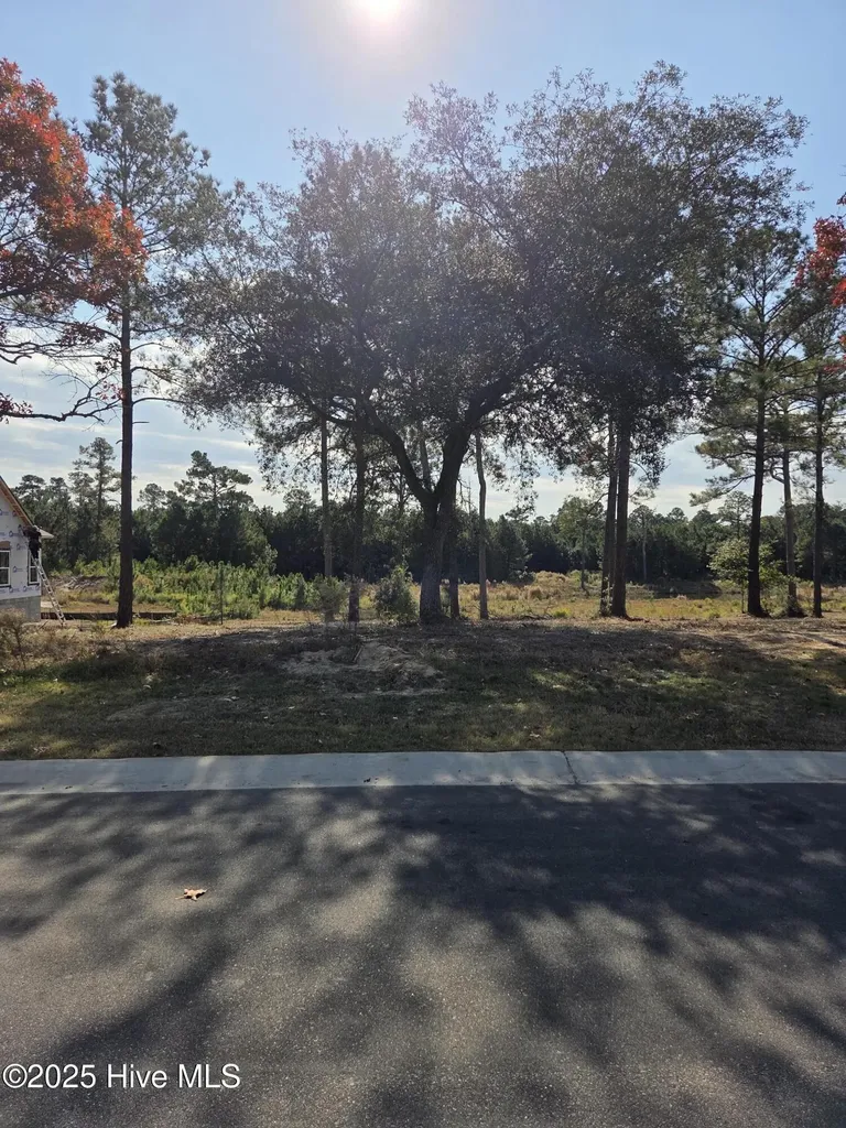 7501 Wallace Place SW Sunset Beach NC 28468