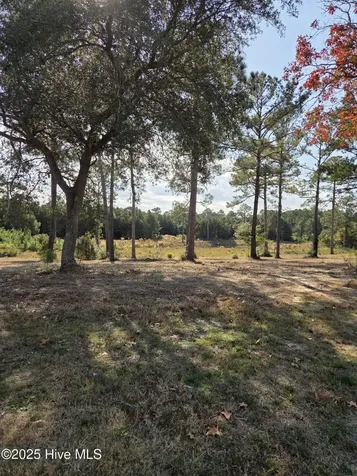 7501 Wallace Place SW Sunset Beach NC 28468