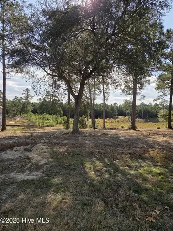 7501 Wallace Place SW Sunset Beach NC 28468