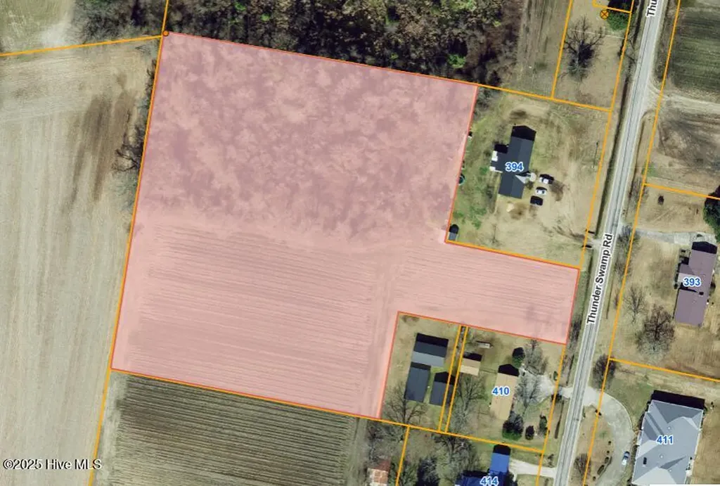 Parcel 6 Thunder Swamp Road Mount Olive NC 28365