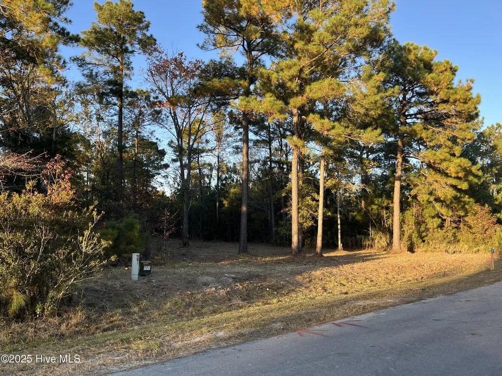 625 Vandemere Creek Drive Vandemere NC 28587