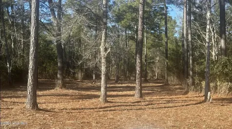 625 Vandemere Creek Drive Vandemere NC 28587