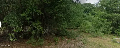 00 Patton Street Hamlet NC 28345