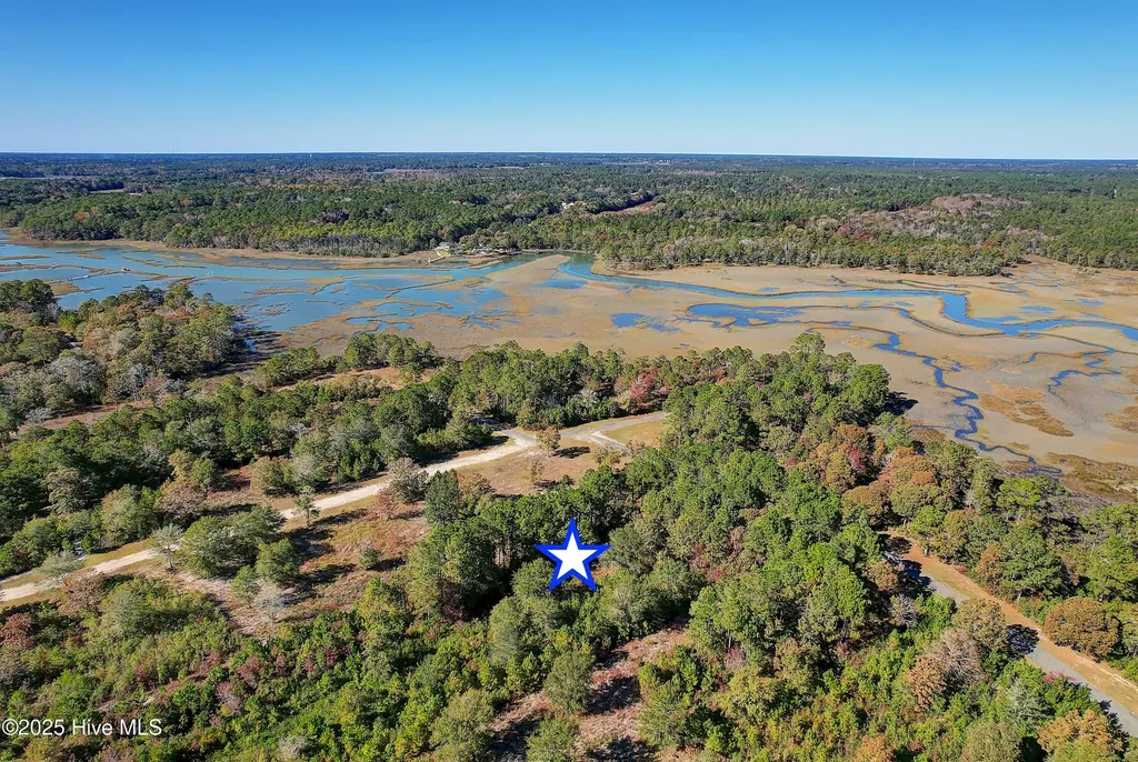 2021 Sea Lavender Road SW Supply NC 28462