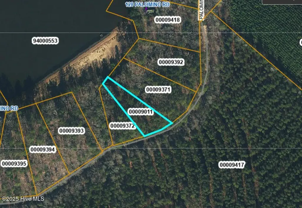 Lot 51 A Palomino Road Carthage NC 28327