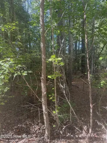 Lot 51 A Palomino Road Carthage NC 28327