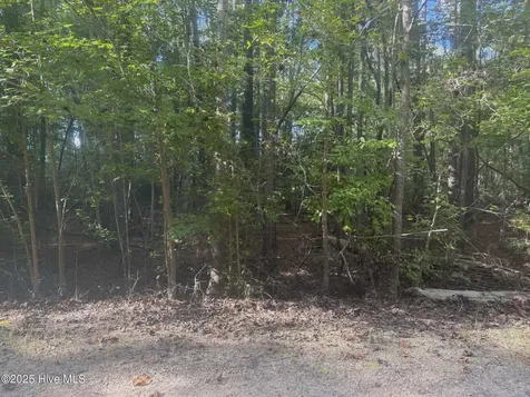 Lot 51 A Palomino Road Carthage NC 28327