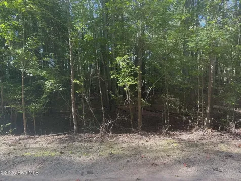 Lot 51 A Palomino Road Carthage NC 28327