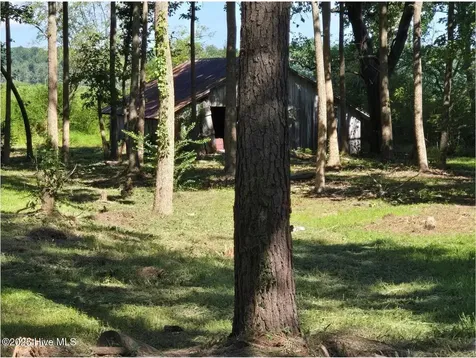 1890 Oneal Road Whitakers NC 27891