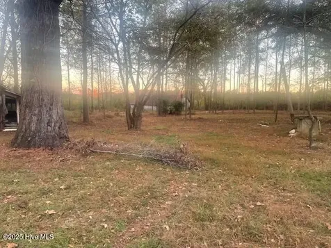 1890 Oneal Road Whitakers NC 27891