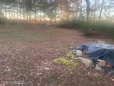 1890 Oneal Road Whitakers NC 27891