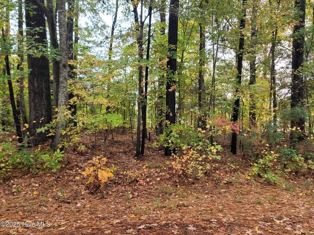 Lot #17 Dogwood Trail Elizabeth City NC 27909