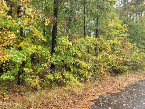 Lot #17 Dogwood Trail Elizabeth City NC 27909
