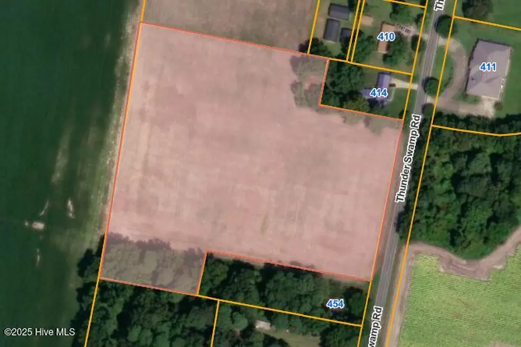 Parcel 1 Thunder Swamp Road Mount Olive NC 28365
