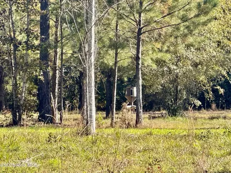 0 Near 4294 James B Wh Whiteville NC 28472