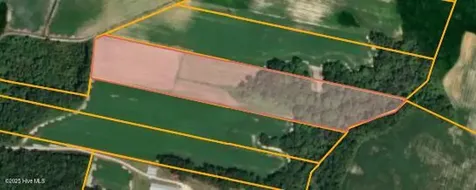 Parcel 2 Thunder Swamp Road Mount Olive NC 28365