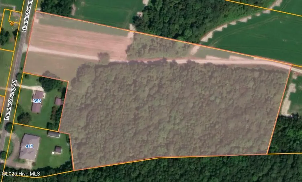Parcel 3 Thunder Swamp Road Mount Olive NC 28365