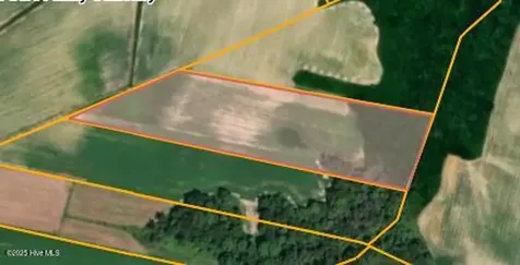 Parcel 4 Thunder Swamp Road Mount Olive NC 28365