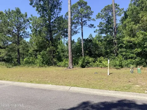 3808 Silver Melon Road NE Leland NC 28451