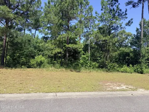 3808 Silver Melon Road NE Leland NC 28451