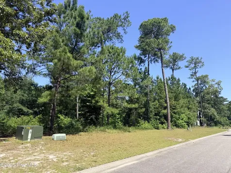 3808 Silver Melon Road NE Leland NC 28451