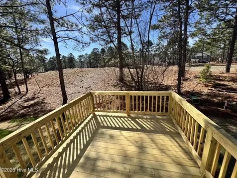 506 Bald Eagle Drive Vass NC 28394