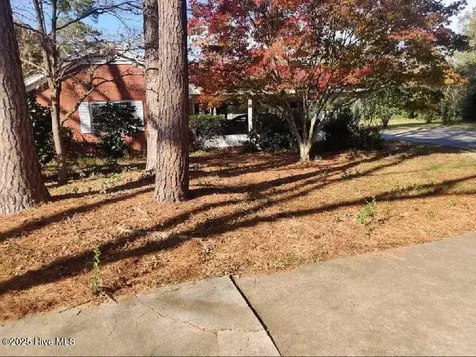 33 Gapway Road Fair Bluff NC 28439