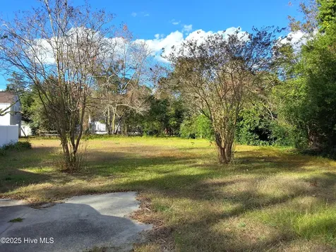 33 Gapway Road Fair Bluff NC 28439