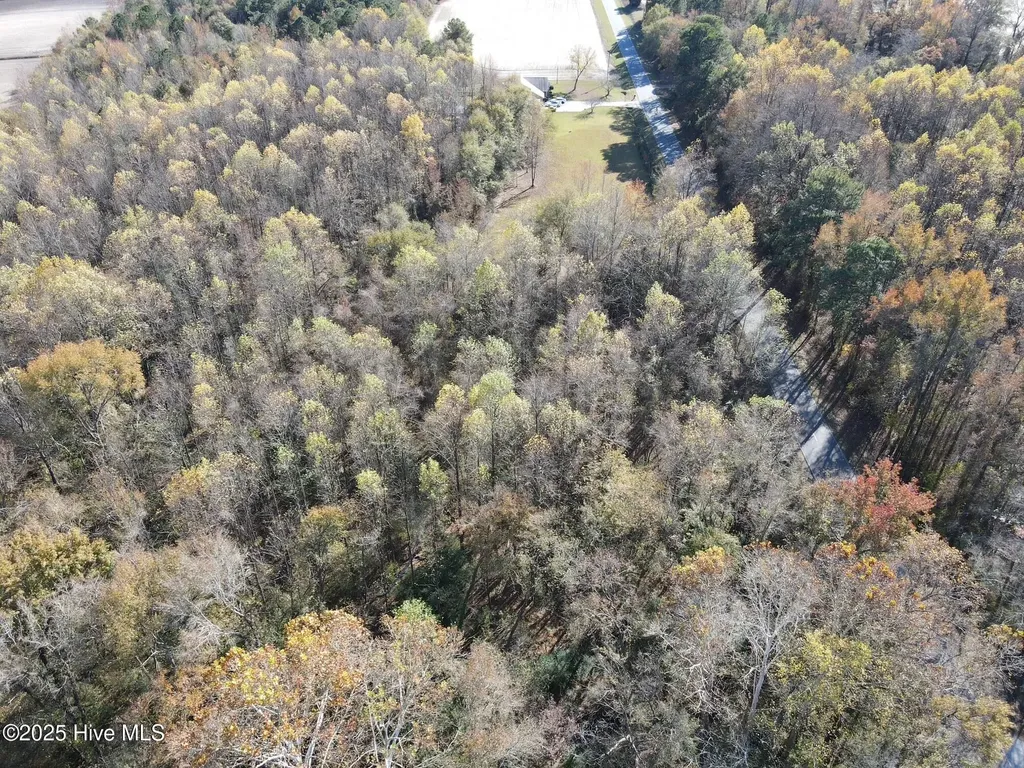 Lot 1 Alton Phillips Road Kinston NC 28504