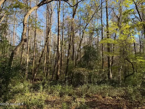 Lot 1 Alton Phillips Road Kinston NC 28504